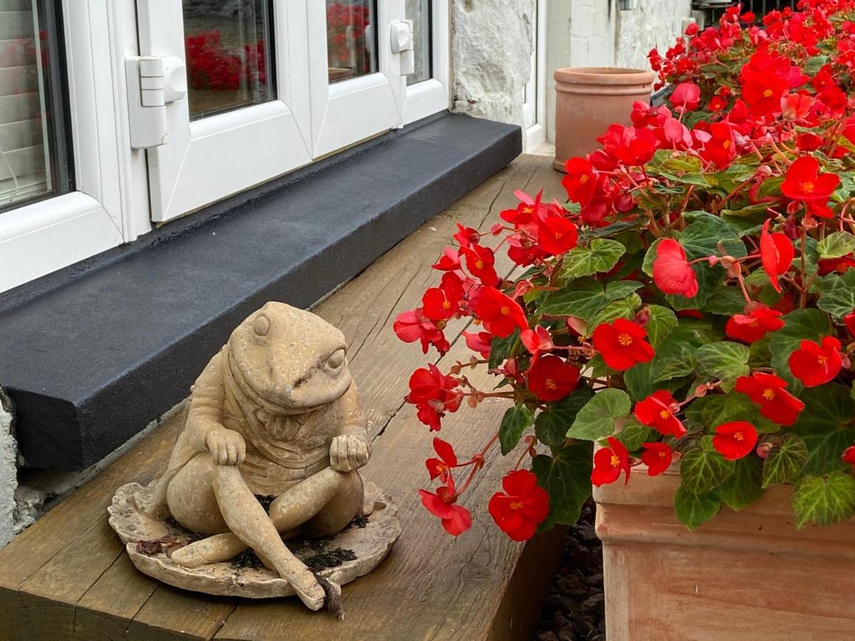 Toadhall Rooms Muchalls Luaran gambar