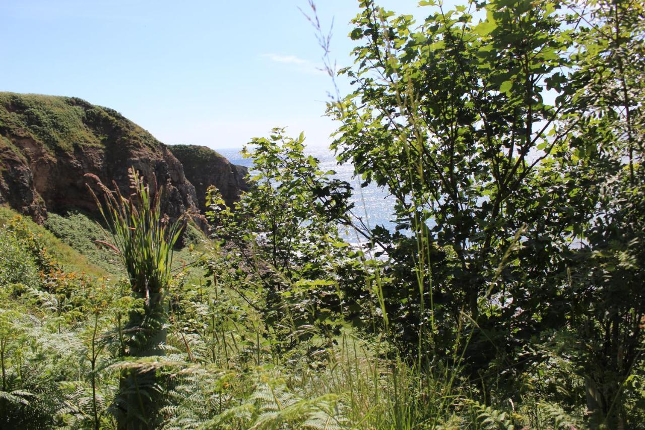 Toadhall Rooms Muchalls Luaran gambar